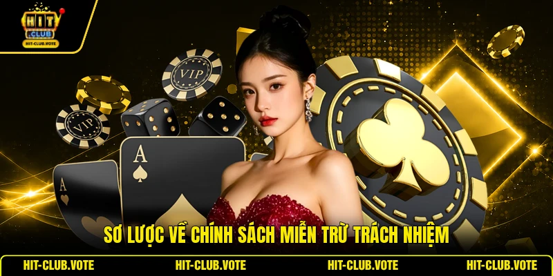 Sơ lược về chính sách miễn trừ trách nhiệm